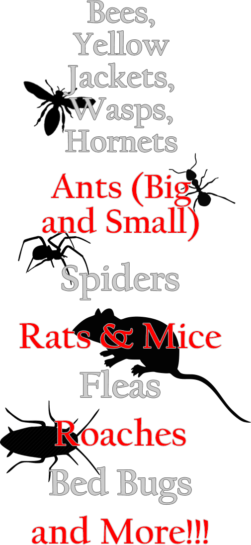 Bees, Yellow Jackets, Wasps, Hornets, Ants, Spiders, Rats, Mics, Fleas, Roaches, Bed Bugs